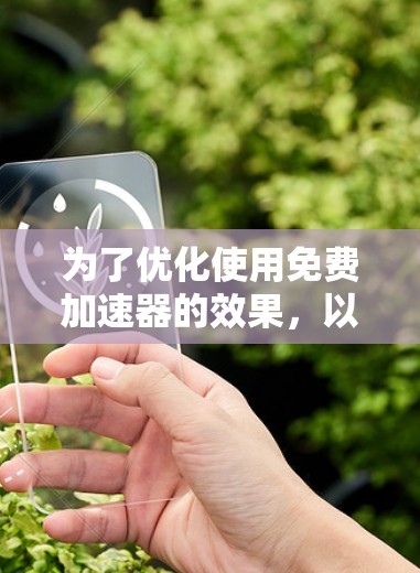 为了优化使用免费加速器的效果，以下是一些关键参数调整建议