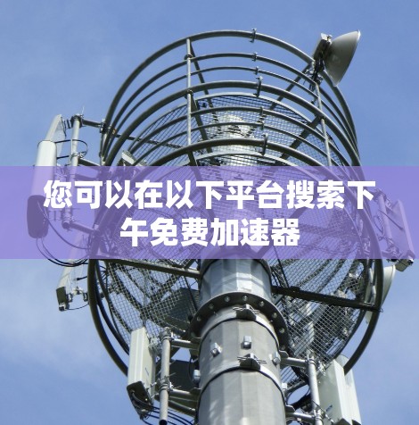 您可以在以下平台搜索下午免费加速器