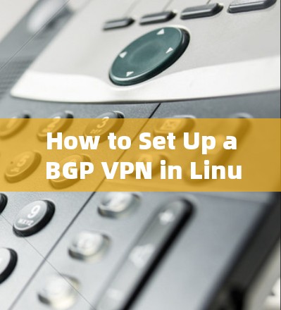 How to Set Up a BGP VPN in Linux: How to Set Up a BGP VPN in Linux: