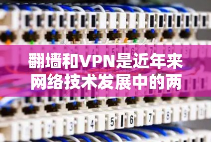 <strong>翻墙</strong>和VPN是近年来网络技术发展中的两个重要概念，它们在加密通信、远程访问和数据传输等方面发挥着重要作用。以下是对这两个概念的详细介绍