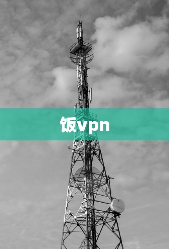 饭vpn