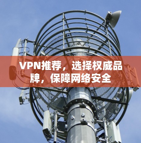 VPN推荐，选择权威品牌，保障网络安全