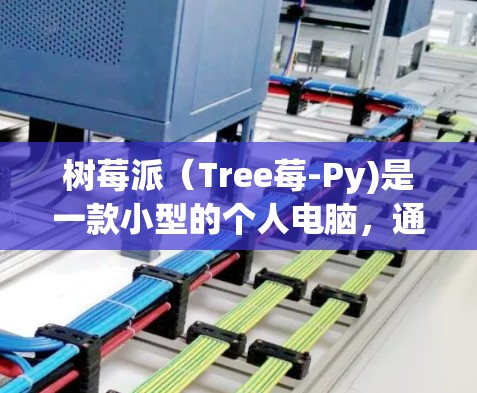 树莓派（Tree莓-Py)是一款小型的个人电脑，通常用于网络配置和游戏。以下是一些树莓派VPN服务器的配置步骤，假设你使用的是树莓派的IP地址来连接目标服务器