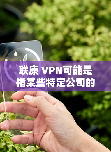 联康 VPN可能是指某些特定公司的网络VPN服务或品牌。为了提供准确的信息，我需要更多的上下文或详细背景信息。以下是一些可能的解释