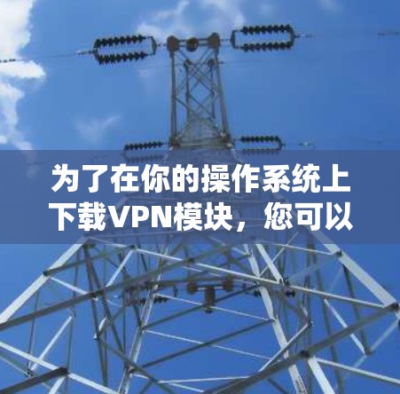 为了在你的操作系统上下载VPN模块，您可以按照以下步骤进行
