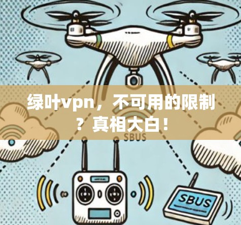 绿叶vpn，不可用的限制？真相大白！
