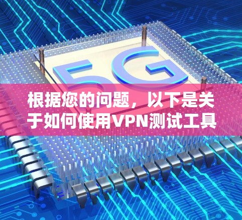 根据您的问题，以下是关于如何使用VPN测试工具的详细步骤和解释