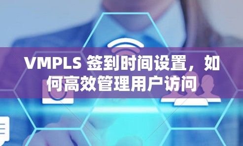 VMPLS 签到时间设置，如何高效管理用户访问