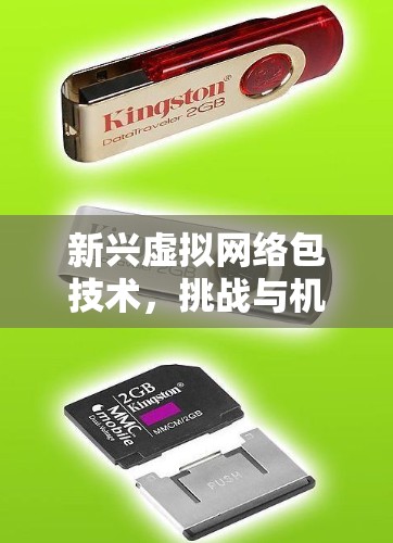 新兴虚拟网络包技术,挑战与机遇 新兴虚拟网络包技术,挑战与机遇