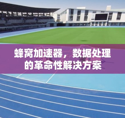 蜂窝加速器，数据处理的革命性解决方案