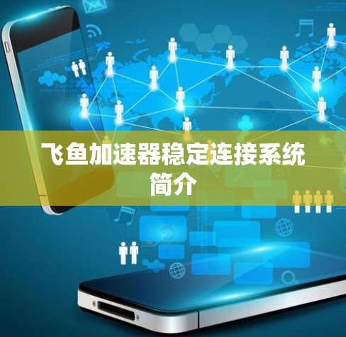 飞鱼加速器稳定连接系统简介
