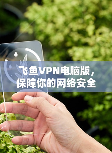 飞鱼VPN电脑版，保障你的网络安全，选择一个值得信赖的解决方案