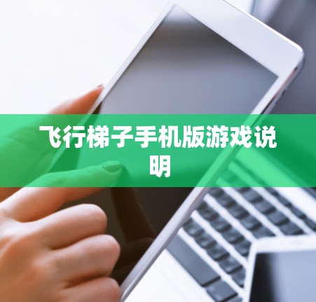飞行<strong>梯子</strong>手机版游戏说明