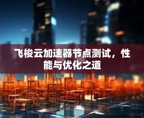 飞梭云加速器节点测试，性能与优化之道