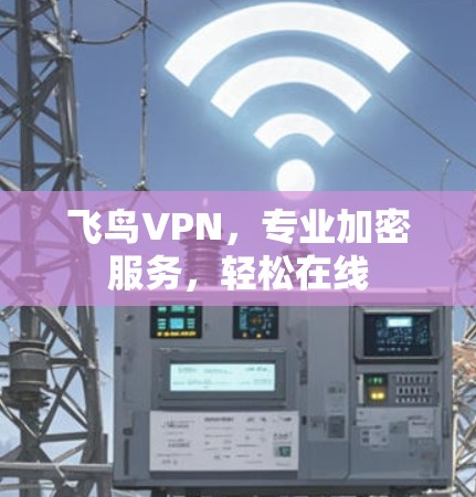 飞鸟VPN,专业加密服务,轻松在线 飞鸟VPN,专业加密服务,轻松在线