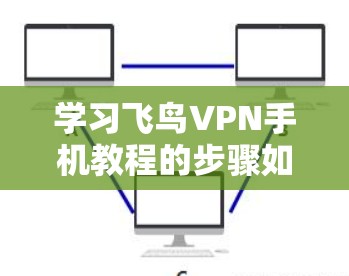 学习飞鸟VPN手机教程的步骤如下 学习飞鸟VPN手机教程的步骤如下