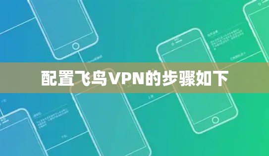 配置飞鸟VPN的步骤如下