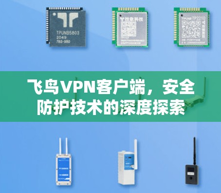 飞鸟VPN客户端,安全防护技术的深度探索 飞鸟VPN客户端,安全防护技术的深度探索