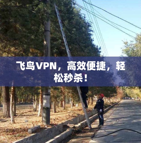 飞鸟VPN,高效便捷,轻松秒杀! 飞鸟VPN,高效便捷,轻松秒杀!