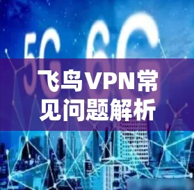 飞鸟VPN常见问题解析