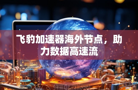 飞豹加速器海外节点,助力数据高速流 飞豹加速器海外节点,助力数据高速流