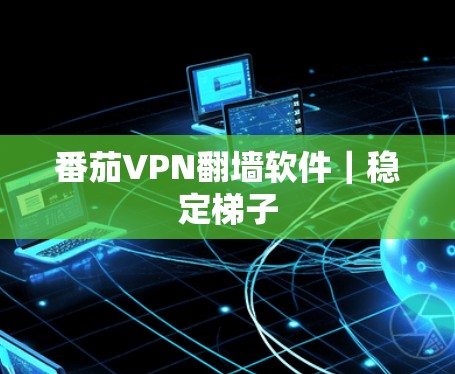 番茄VPN<strong>翻墙</strong>软件｜稳定梯子
