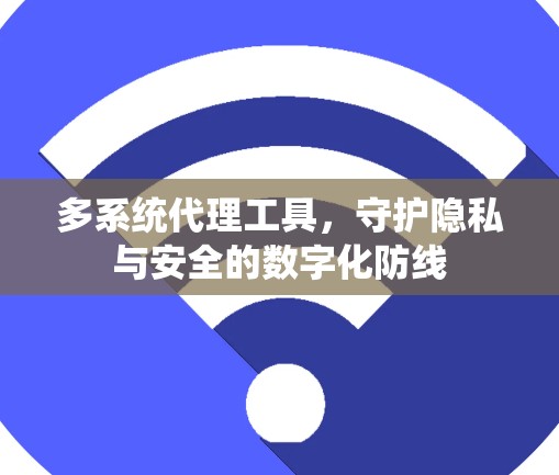 多系统代理工具，守护隐私与安全的数字化防线