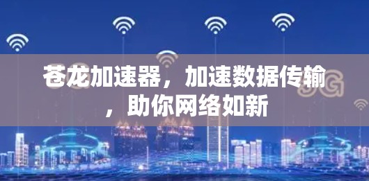 苍龙加速器，加速数据传输，助你网络如新