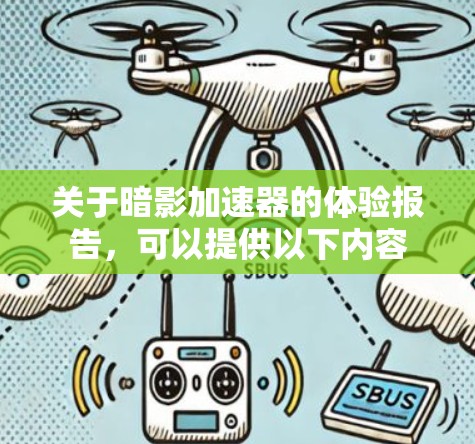 关于暗影加速器的体验报告,可以提供以下内容 关于暗影加速器的体验报告,可以提供以下内容