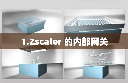1.Zscaler 的内部网关