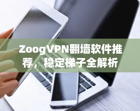 ZoogVPN<strong>翻墙</strong>软件推荐，稳定梯子全解析