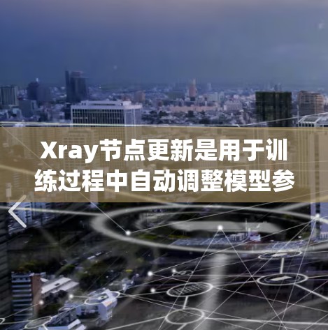 Xray节点更新是用于训练过程中自动调整模型参数的工具，其功能和功能如下