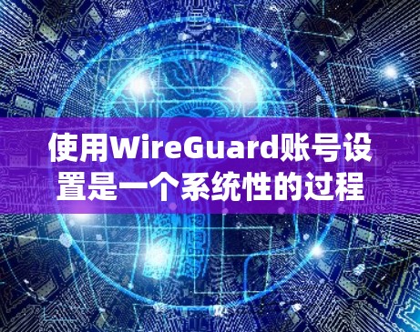 使用WireGuard账号设置是一个系统性的过程，需要遵循以下步骤来确保账户的安全和权限正确。以下是对每个步骤的详细说明