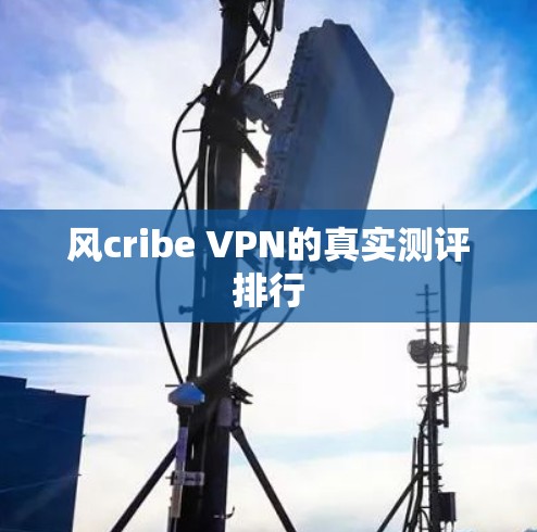 风cribe VPN的真实测评排行 风cribe VPN的真实测评排行