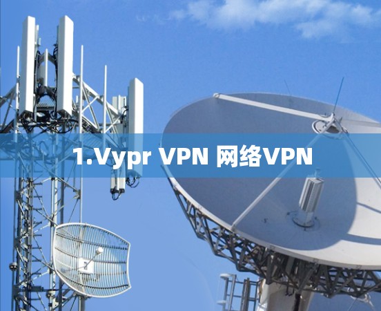 1.Vypr VPN 网络VPN