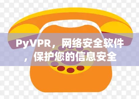 PyVPR，网络安全软件，保护您的信息安全