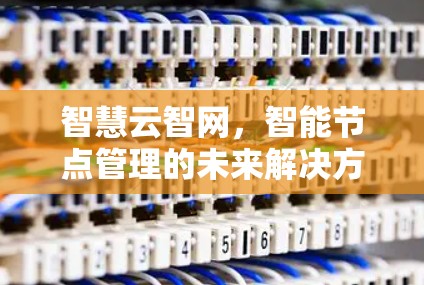 智慧云智网，智能节点管理的未来解决方案