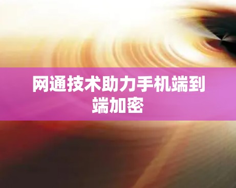网通技术助力手机端到端加密