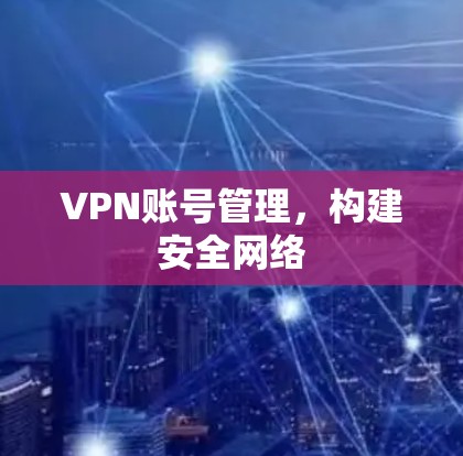 VPN账号管理，构建安全网络